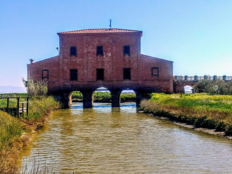 Castiglione della Pescaia Escursioni - Appartamenti Ancora