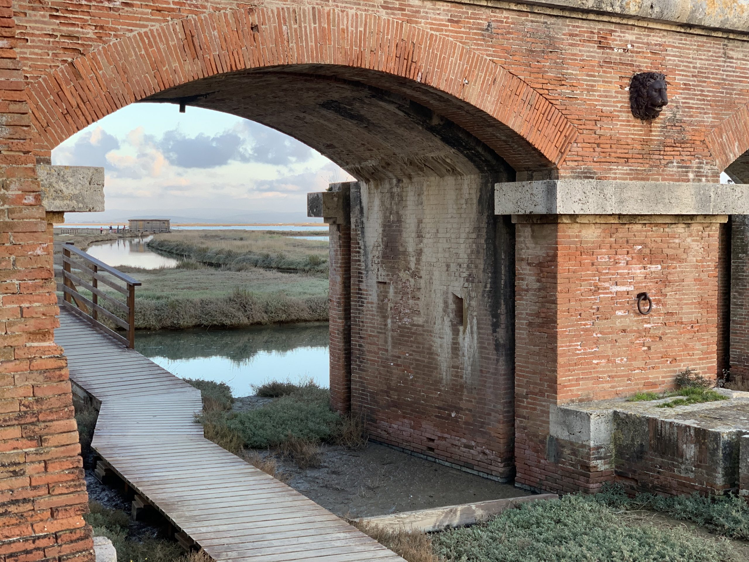 Diaccia botrona casa vacanze castiglione della pescaia, Villa Ancora