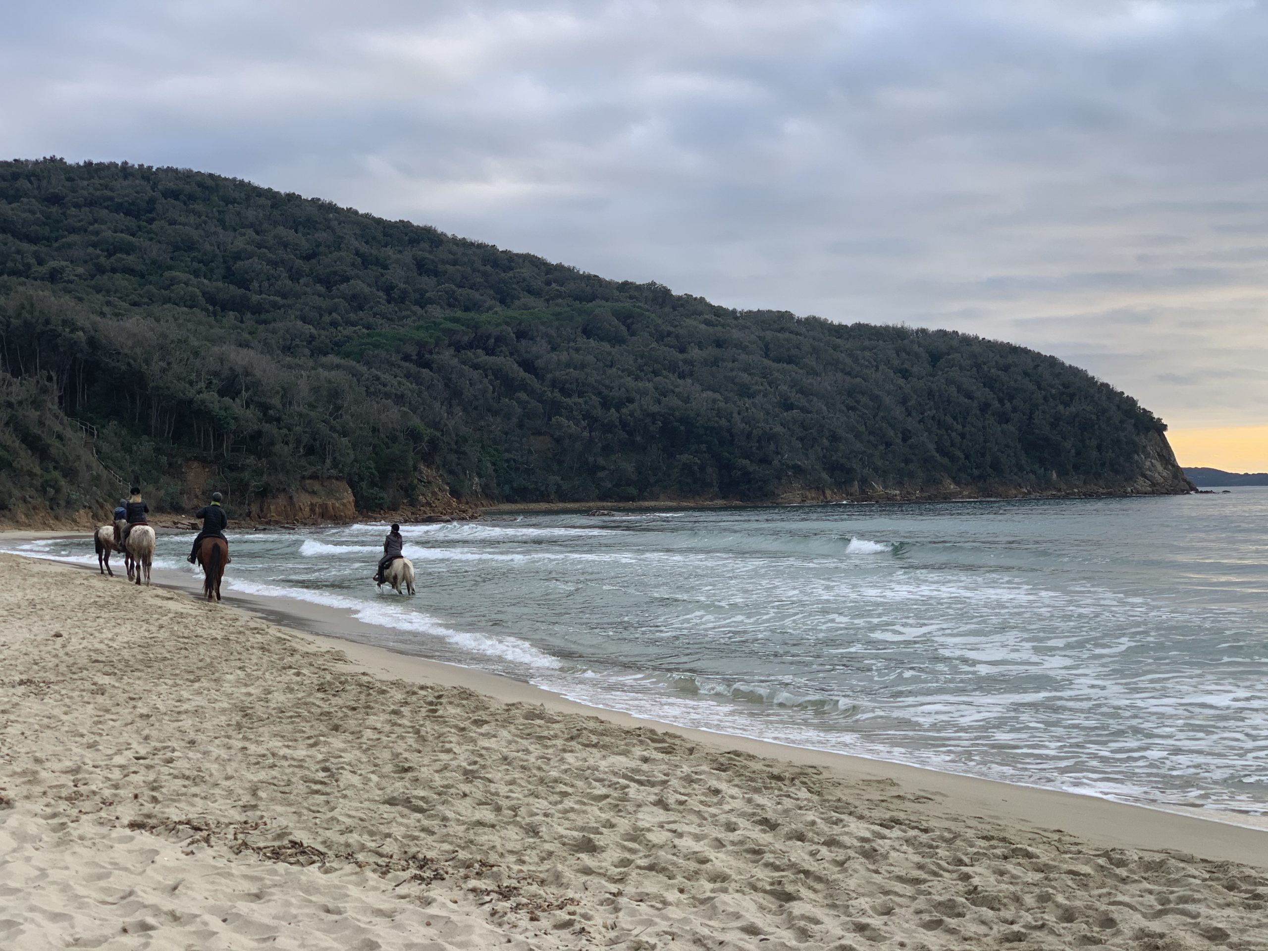 Cala Violina, soggiorno presso Villa Ancora