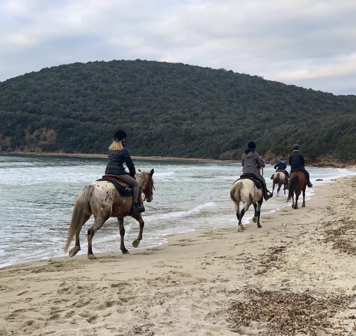 Riserva Naturale delle Bandite di Scarlino - Cala Violina