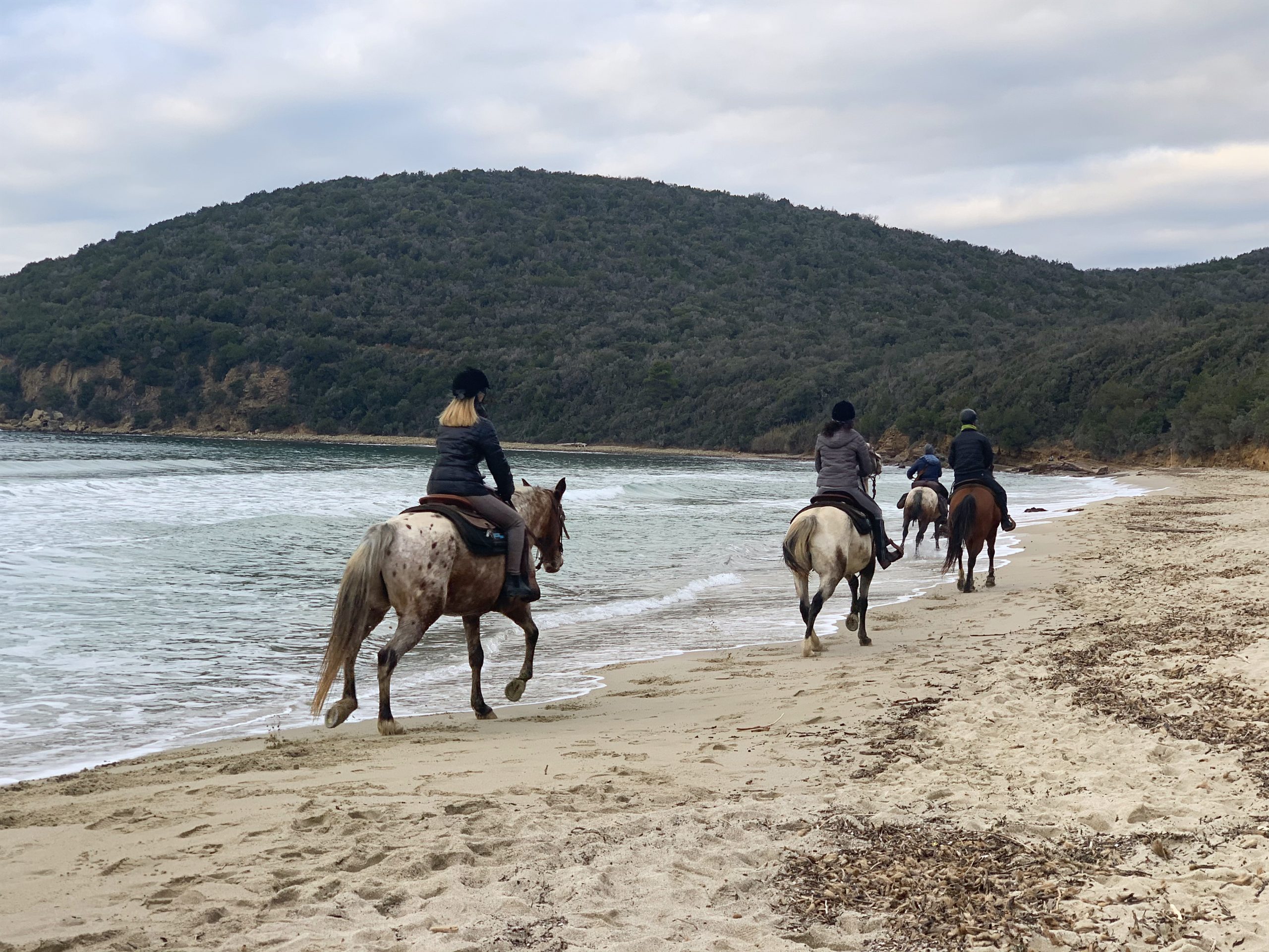 Riserva Naturale delle Bandite di Scarlino - Cala Violina