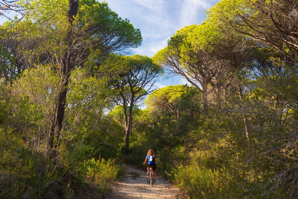 Riserva Naturale delle Bandite di Scarlino - Escursioni