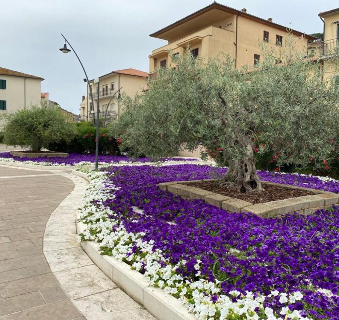 cosa fare a castiglione della pescaia, il centro storico