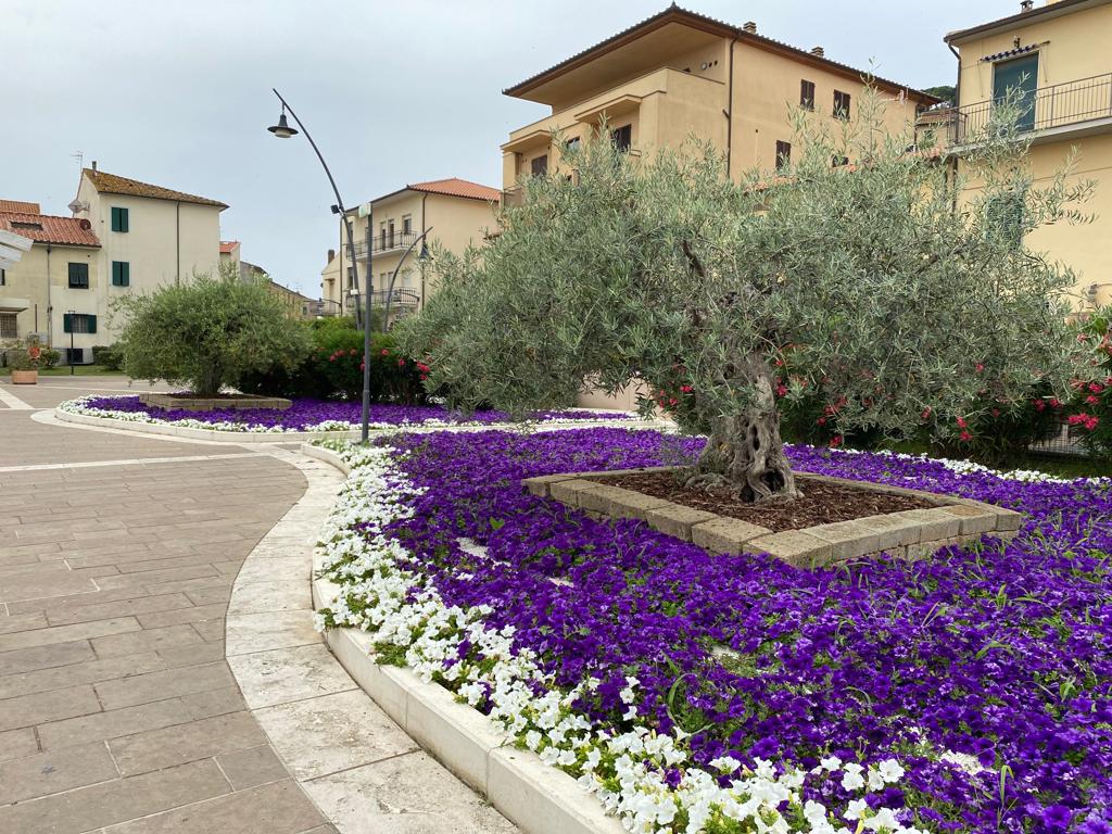 cosa fare a castiglione della pescaia, il centro storico