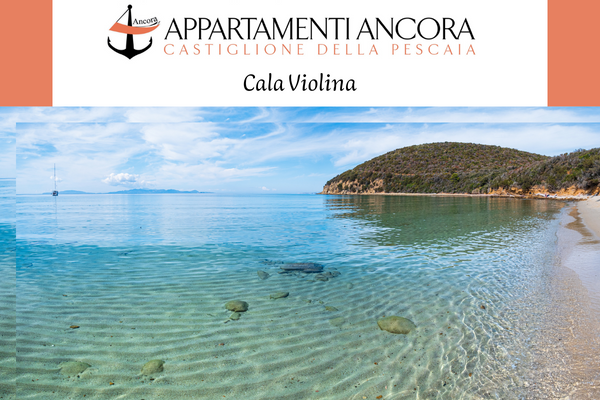 Cala Violina, Villa ancora con appartamenti e piscina a Castiglione della Pescaia