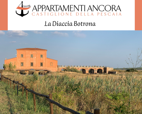 La Diaccia Botrona, casa vacanze castiglione della pescaia