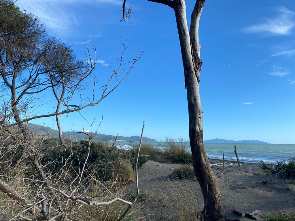 cosa vedere castiglione della pescaia, visita il parco della maremma