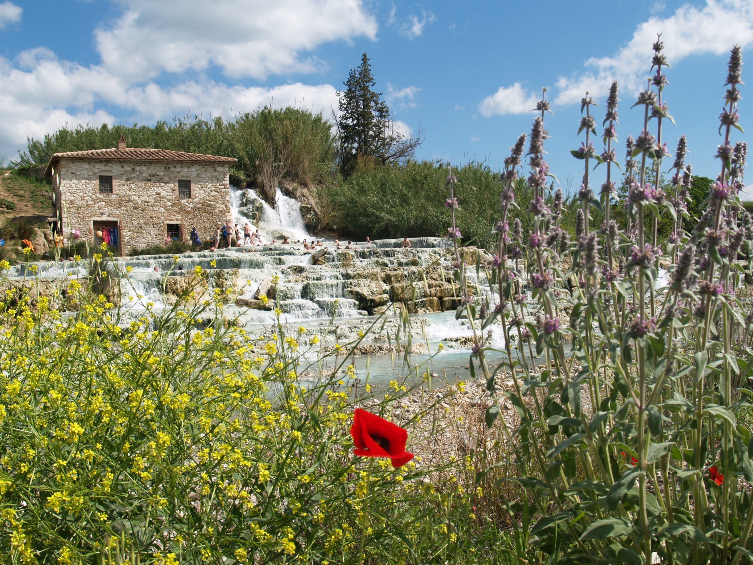 terme-di-saturnia-appartamenti-vacanza-a-Castiglione-della-Pescaia-Villa-Ancora