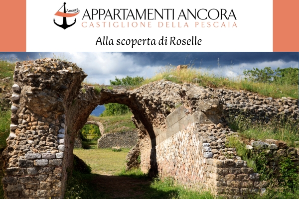 Case in affitto Castiglione della Pescaia Villa Ancora